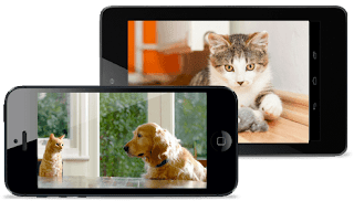 Aplicaciones para alimentar cuidar y jugar con tus mascotas perros y gatos